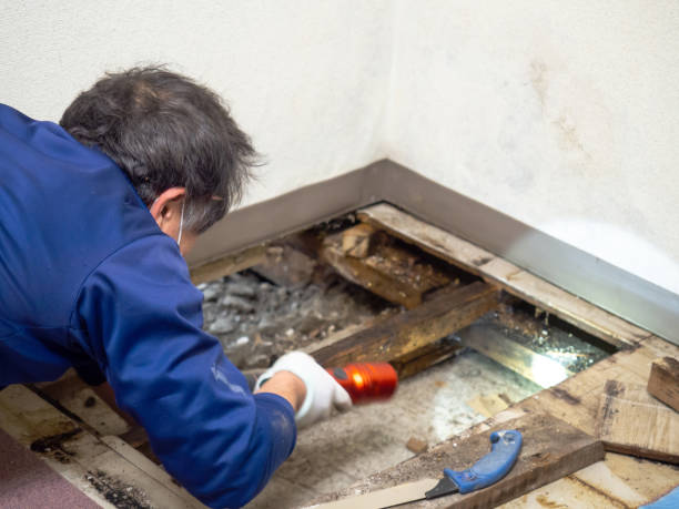 Best Post-Remediation Services in Columbia, TN