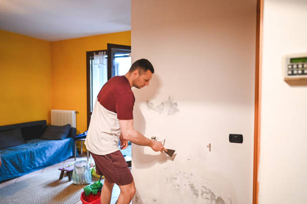 Best Black Mold Remediation in Columbia, TN